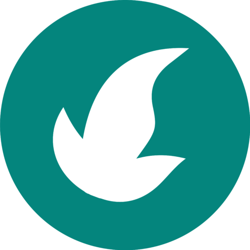 Teal Circle with Ivy Leaf witch hat fire symbol favicon icon